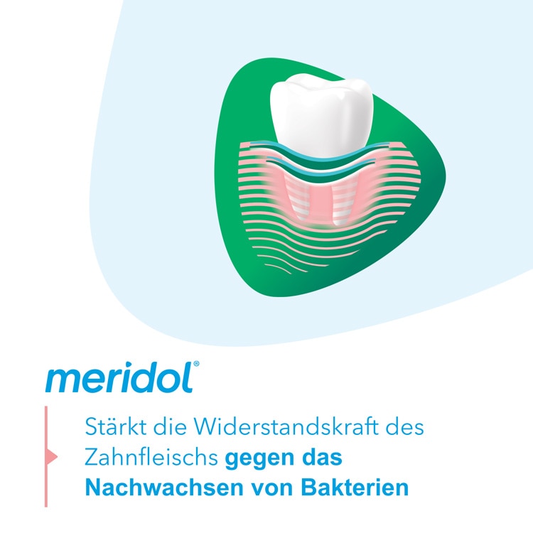 meridol® Zahnfleischschutz & frischer Atem Mundspülung