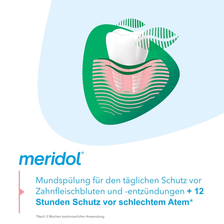 meridol® Zahnfleischschutz & frischer Atem Mundspülung