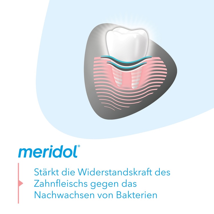 meridol® Zahnfleischschutz & sanftes weiß Zahnpasta
