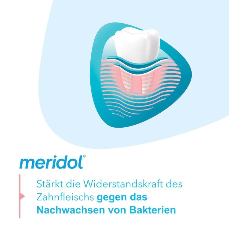 meridol® Zahnfleischschutz Zahnpasta