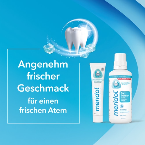 meridol® Zahnfleischschutz Mundspülung